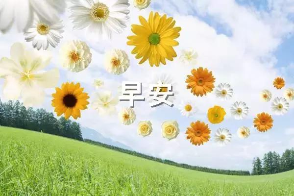 27,我希望生活在你的生活中,温柔,有趣,不需要过于凶猛,三餐,四季,不必太匆匆,毕竟我必须浪费你。