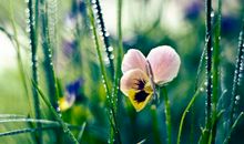 比赛口号霸气押韵八字