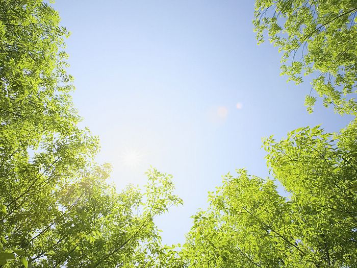 15.斗争组：学习没有结束，爬山。