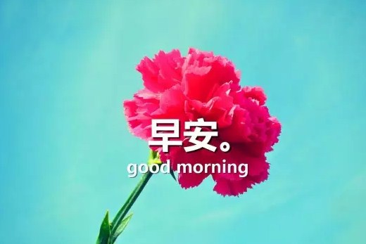 高智代人爱情故事,早上好