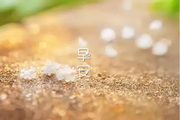 早上好，美丽的短句1