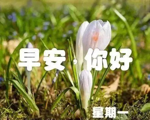 高震是一个爱情故事,早上好1