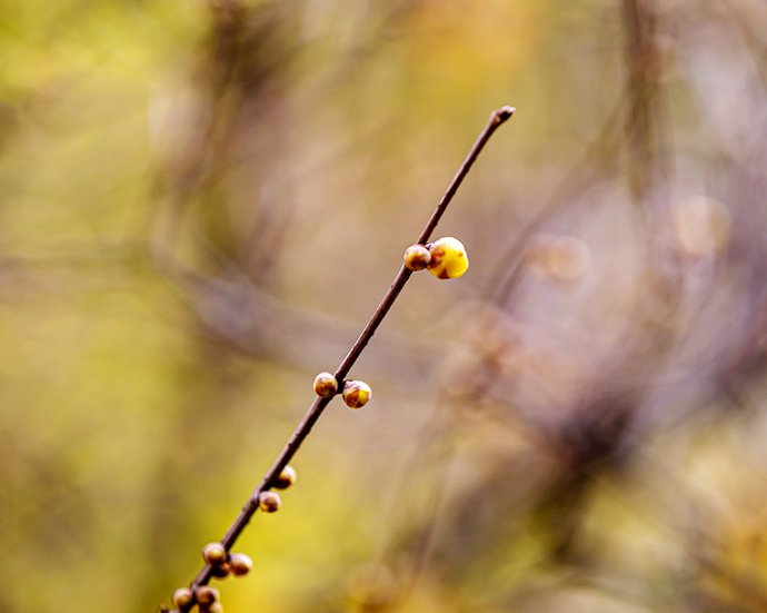 班级组名称和口号超级创意1