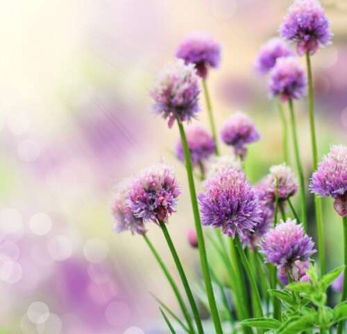 32.如果，不是幸福，如果，不满，请放手;如果，不能放手，然后疼痛。