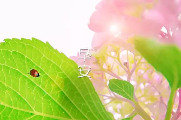 和我的女朋友说早上好