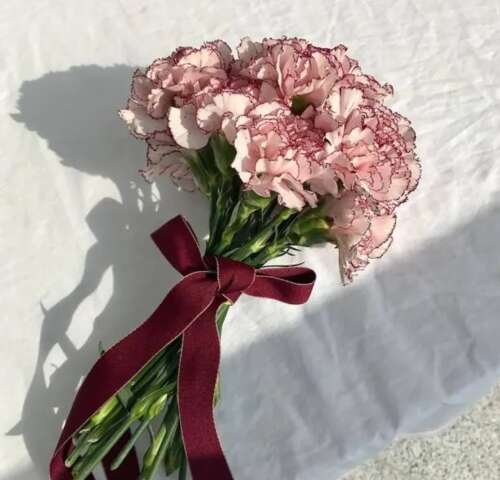 据说人们的悲伤限制是5天。许多麻烦实际上并不大，但你在那种情况下，在那种情绪，平庸。所以，无论发生什么，首先善待自己，时间，世界自然会很好。