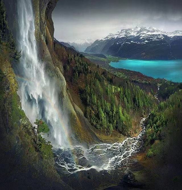 15.团队名称：自我改善口号：不要打架，不要看，表演是国王。