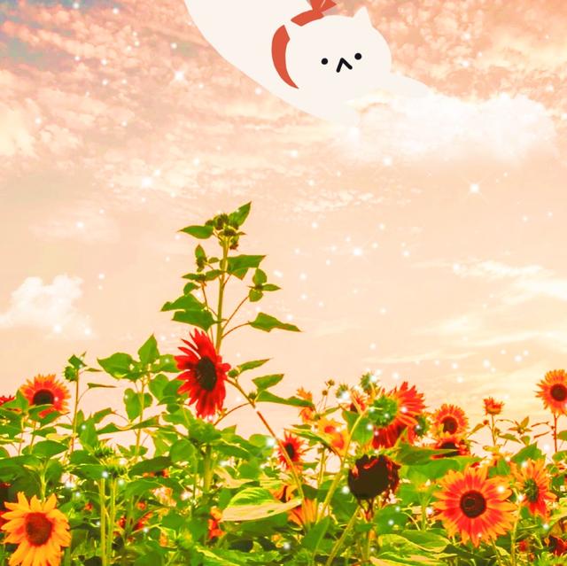 积极的积极能量判决，鼓励朋友圈