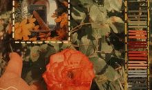 生活好累好压抑的句子心里好烦说说