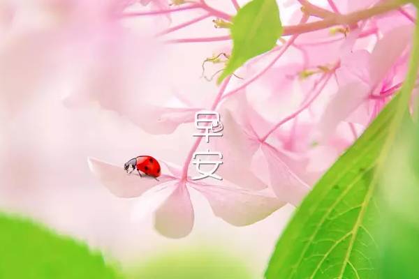 早上好，温暖，适合朋友