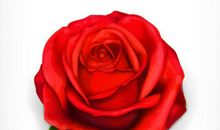 友情最豪情壮志的句子