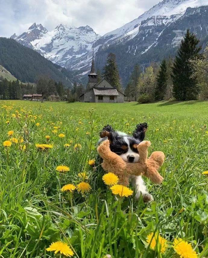 部队运动口号8字1