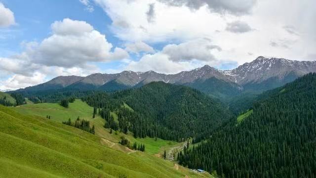 团队称之为口号