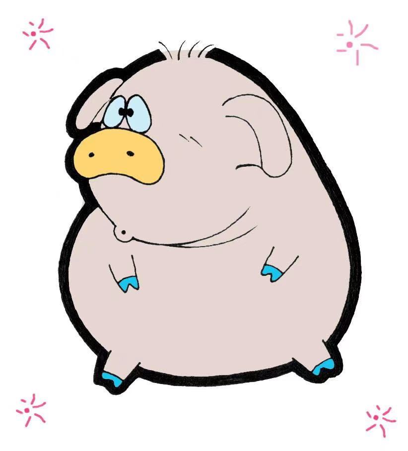 精致的小学运动口号