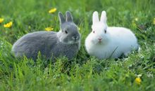 二年级运动会简短口号