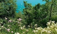 部队运动会口号八个字