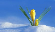 张爱玲写友情的句子