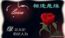 爱人新年祝福语大全