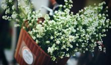 三月再见四月你好说说