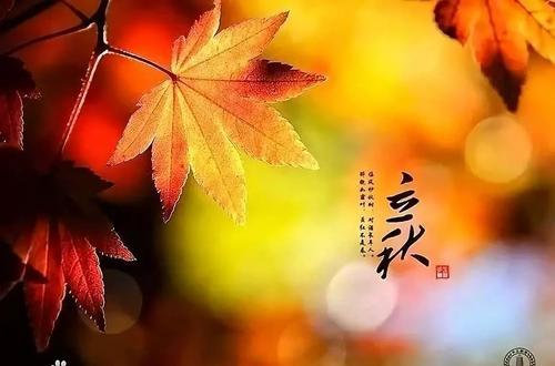 秋天短信致辞短语