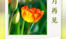 四月第一天的早安说说