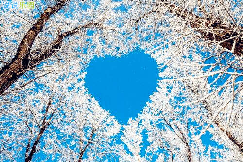 三月雪的朋友圈