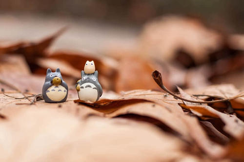 4月1日4月1日傻瓜会话白人爱