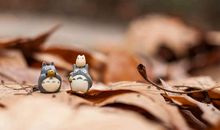 四月一日愚人节表白情话