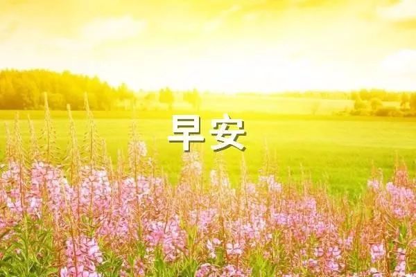 死人不支付适合这个有趣的句子的幽默配额