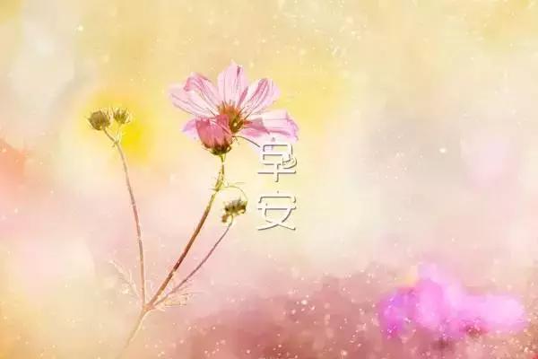 30，新的一天开始，伸展回到一个美好的一天，早上好。