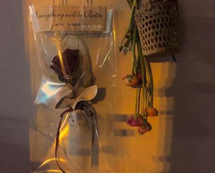 一目了然，你会让你爱上美丽的句子1