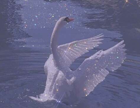 20，我必须品尝，因为你的每一个苦涩都有。