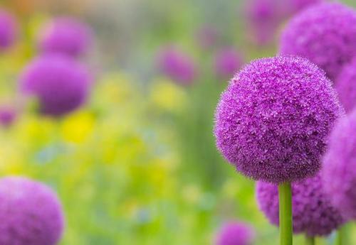 15.就个人而言，只有独自一人的朋友，你会感受到真正的幸福，因为幸福是一个需要分享的亲爱的朋友。我想与你分享幸福的幸福作为记忆中的深刻态度。多年的岁月仍然就像你就像常规野心一样。