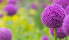 关于友情相伴的句子