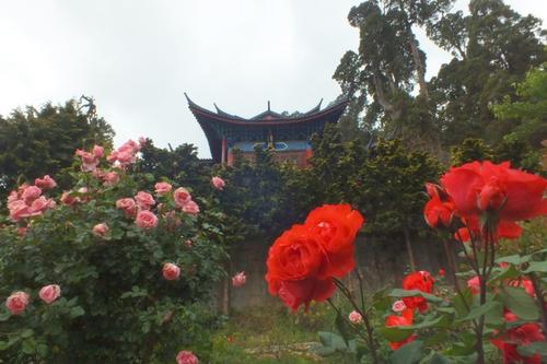 15，经常提醒自己，过去，让它去，人们难以衡量，已经成为一个美好的最终恶化，但发现他们总是可以控制原谅你。