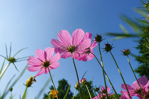 友好的分开的悲伤句子