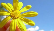 背后守护友情的句子