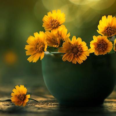 [结束]当我觉得在月球上困倦时，她仍然在灯下面并不后悔。