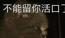 三观不正但很舒服解气的文案