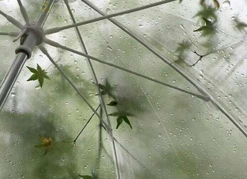 32.在日本重复同样的事情，随后昨天难以置信。如果你能避免暴力的快乐，你就不会有很多悲伤。