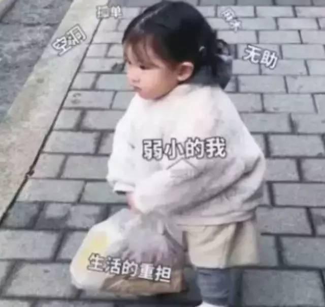 让你在几分钟内赢得判决