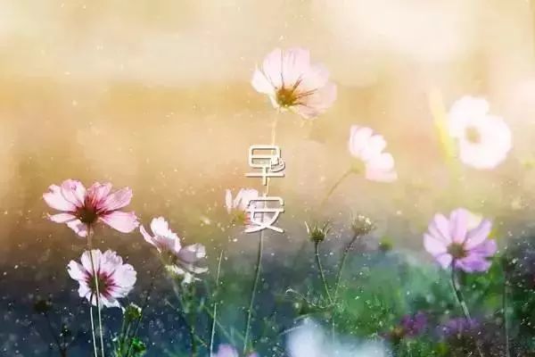 早上好，积极的能量谈论朋友圈