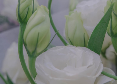 适用于新功能微信状态