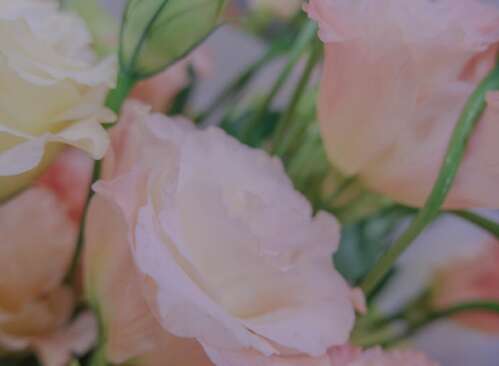 25，少于内心的暴力