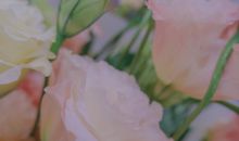 适合新功能微信状态的小句子