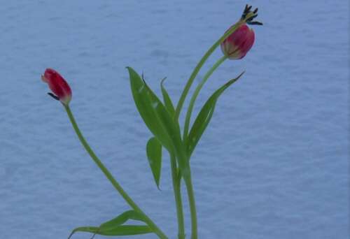 有些人杀死了悲伤的句子