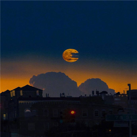 非常诗意的心脏只有美丽的句子2