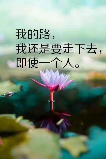 内涵的句子励志