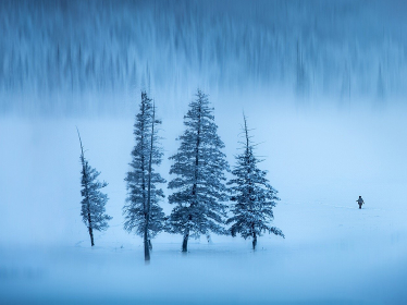 在春节期间，生日烤面包的深刻句子