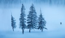 春节期间过生日敬酒的深厚句子